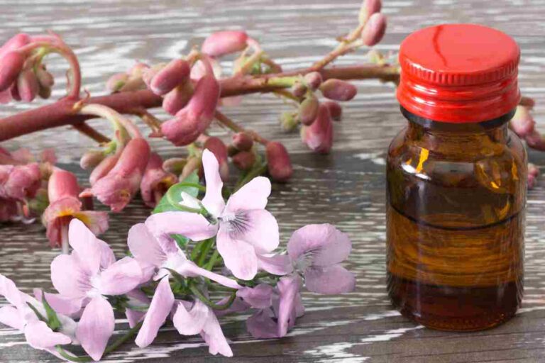 Fleur de bach et ménopause : sont-elles efficaces contre les symptômes