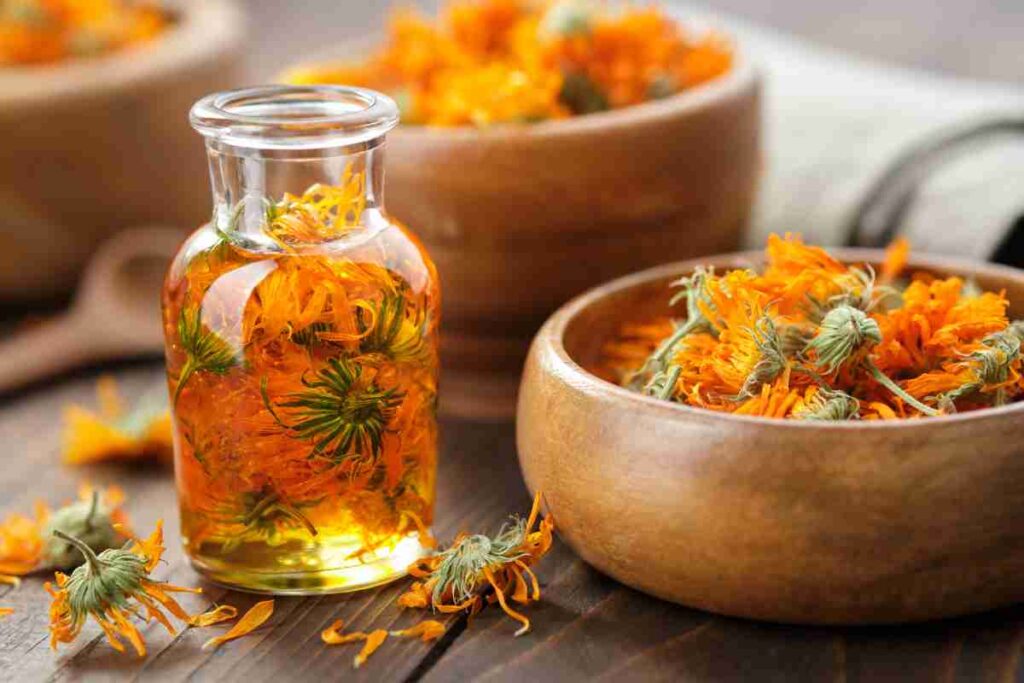 Remèdes de grand-mère contre les odeurs intimes : les infusions de plantes