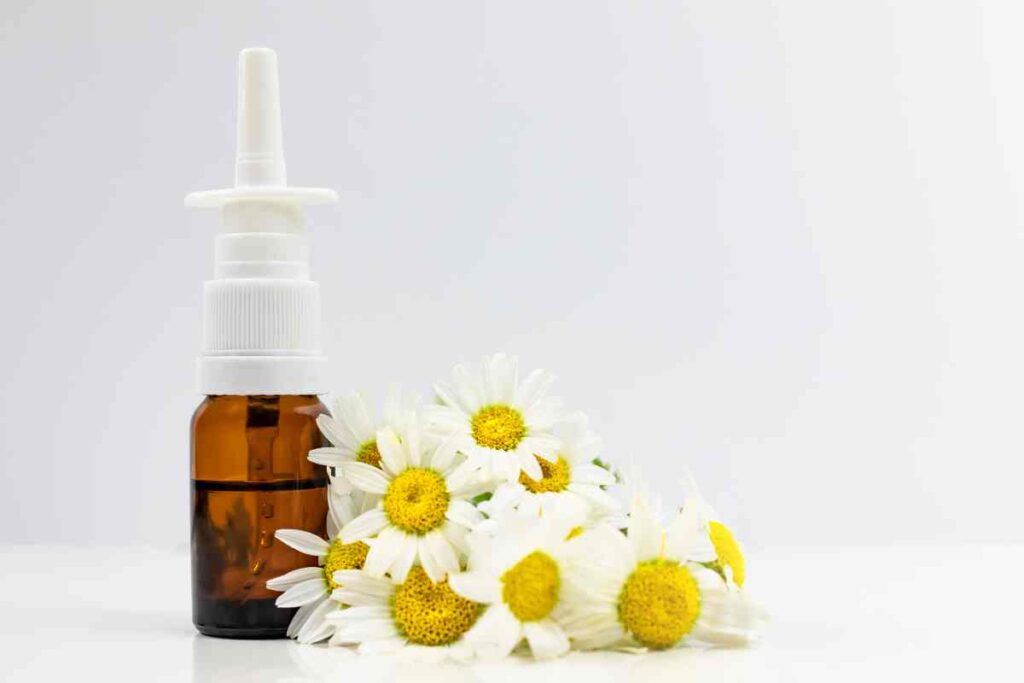 Remède de grand-mère contre les démangeaisons intimes : la camomille